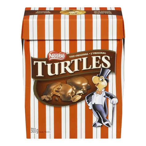 Turtle chocolate mascot
